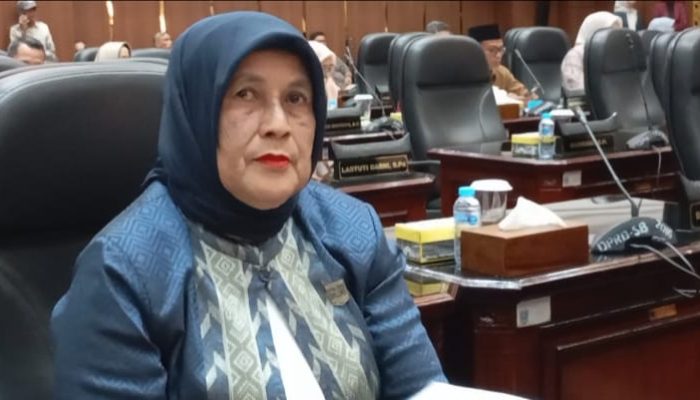 Soroti Jembatan Anduriang Tak Kunjung Diperbaiki, Endarmy Anggota DPRD Sumbar Buka Suara