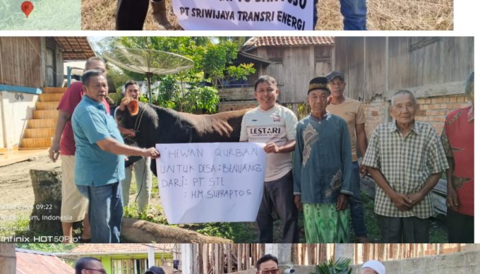 Sinergi Idul Adha: PT Sriwijaya Tansri Energi (STE) Serahkan Hewan Kurban Kepada Polres PALI dan Tiga Desa Ring 1 Wilayah Tambang