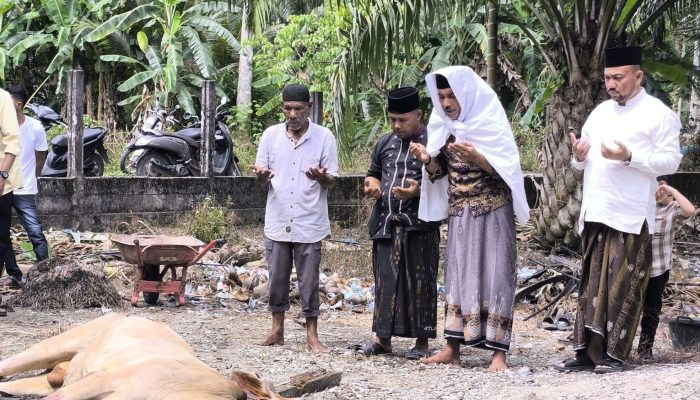 MOMENTUM IDUL ADHA 1447 H, WAKIL KETUA II DPRK NAGAN RAYA BERKURBAN BERSAMA MASYARAKAT