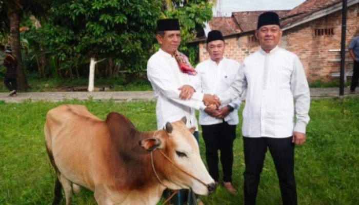Kadiskominfo Prabumulih, Wakili Walikota Serahkan Hewan Kurban di Masjid Babun Ni’mah Wonosari