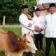 Kadiskominfo Prabumulih, Wakili Walikota Serahkan Hewan Kurban di Masjid Babun Ni’mah Wonosari