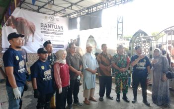 Presiden Prabowo Subianto Beri Bantuan Sapi Simental di Cemani Sukoharjo, Takmir Ucapkan Syukur