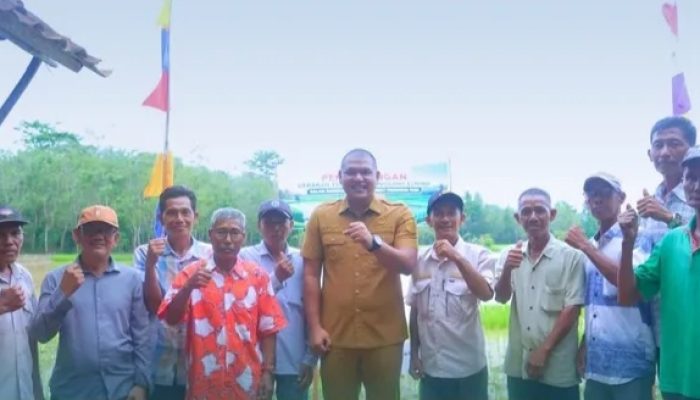 Pemkot Prabumulih Ajak Petani Siap Hadapi El Nino Melalui Gerakan Tanam Padi