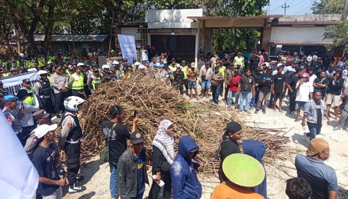 Ribuan Petani Tebu Blora Geruduk PG GMM Todanan Aksi, “Tumpah Tebu” Dikawal Mahasiswa   