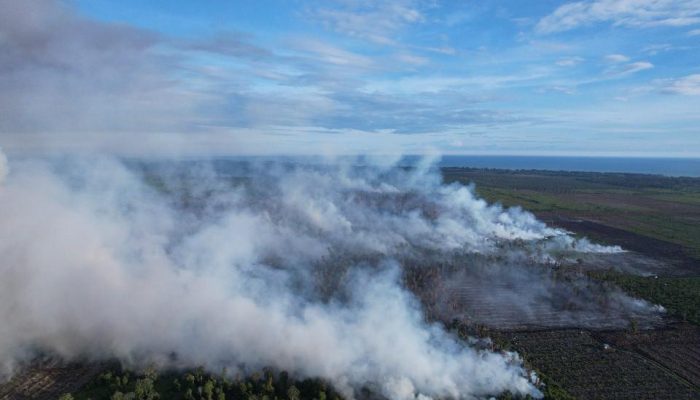APEL Green Aceh: 334 Hektare Gambut Terbakar, 332 Titik Panas Terdeteksi di Nagan Raya