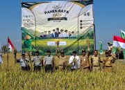 Panen Raya Demak Tembus 6,7 Ton per Hektare, Pemerintah Pangkas Birokrasi Pupuk Subsidi