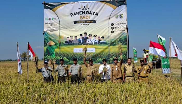 Panen Raya Demak Tembus 6,7 Ton per Hektare, Pemerintah Pangkas Birokrasi Pupuk Subsidi