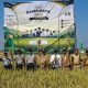 Panen Raya Demak Tembus 6,7 Ton per Hektare, Pemerintah Pangkas Birokrasi Pupuk Subsidi