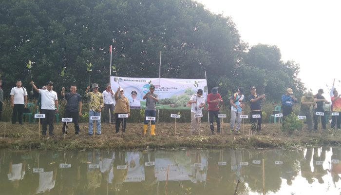 Peringati Hari Lingkungan Hidup 2026, Pemkab Demak Masifkan Tanam Mangrove dan Normalisasi Sungai