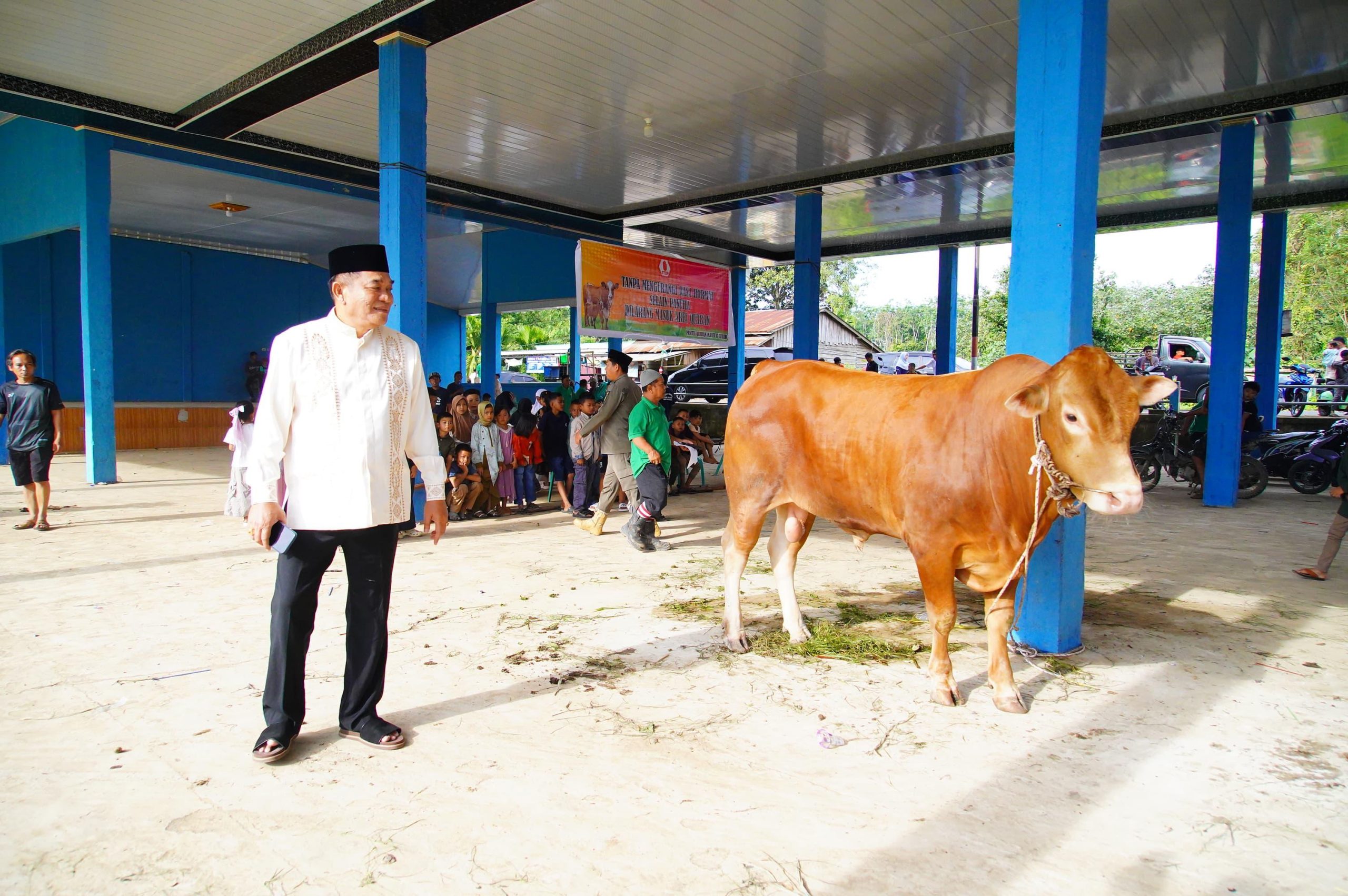 Bupati Muba Tinjau Penyembelihan Kurban di Sungai Angit, Dua Sapi Limosin Diserahkan untuk Warga   