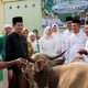 Sekda Syafaruddin Kobarkan Semangat Ukhuwah dan Kebersamaan
