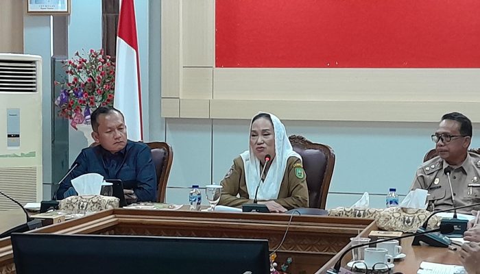 Pemkab Natuna Dorong Penguatan Ketahanan Energi melalui Kerja Sama dengan BPH Migas