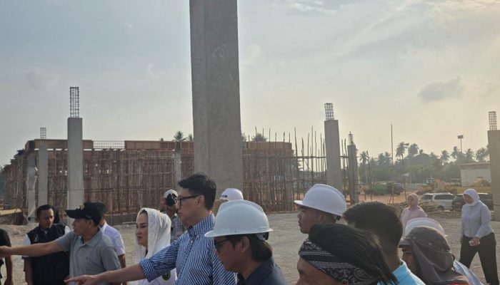 Wamenlu RI Tinjau Pasar JICA dan Dorong Perluasan Akses Pasar Nelayan