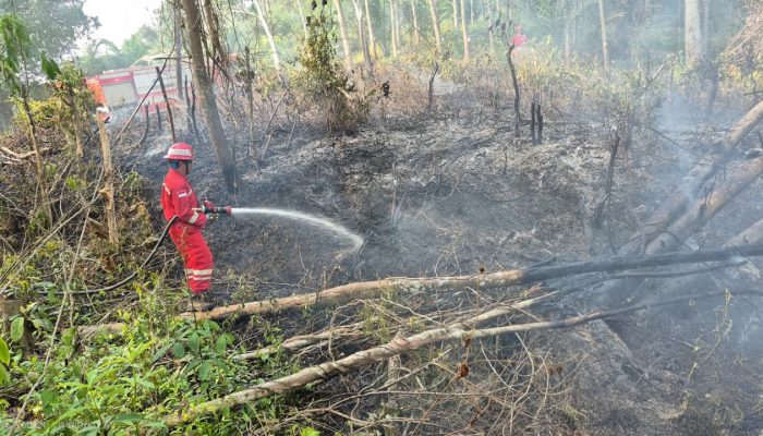 Jaga Keselamatan Bersama, PHR Zona 4 Respon Cepat Padamkan Lebih dari 100 Titik Api Karhutla Sumsel