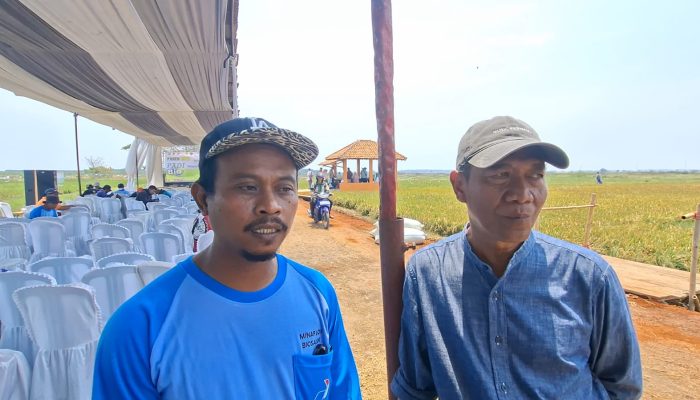 Rob Bertahun-tahun, 450 Hektare Lahan di Empat Desa Kab. Batang Terdampak