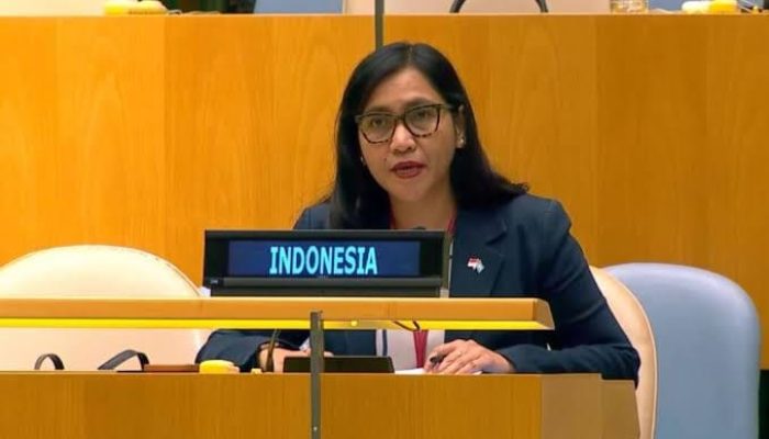 Di Forum PBB, Indonesia Tegaskan Komitmen Lindungi Masyarakat dan Bangun Papua